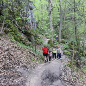 Zdjęcie przedstawia grupę osób idących ścieżką w lesie.