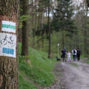 Zdjęcie przedstawia ścieżkę w lesie. Na pierwszym planie na drzewie namalowany jest szlak turystyczny i rowerowy. W tle idzie ścieżką grupa osób.